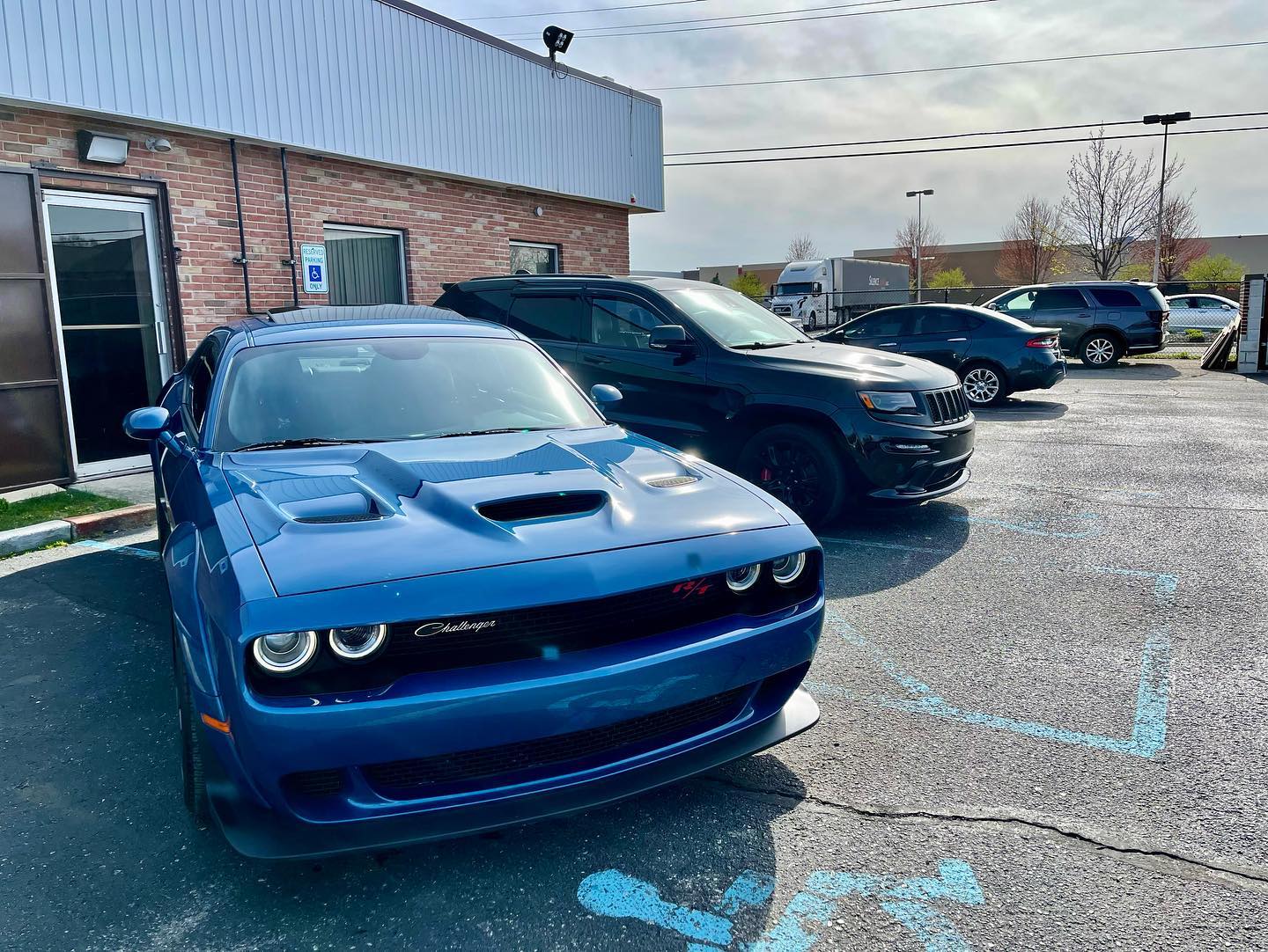 Paint Protection Film