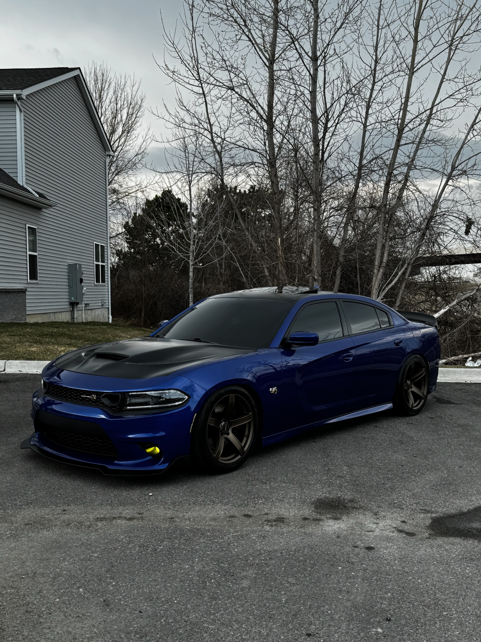 Paint Correction